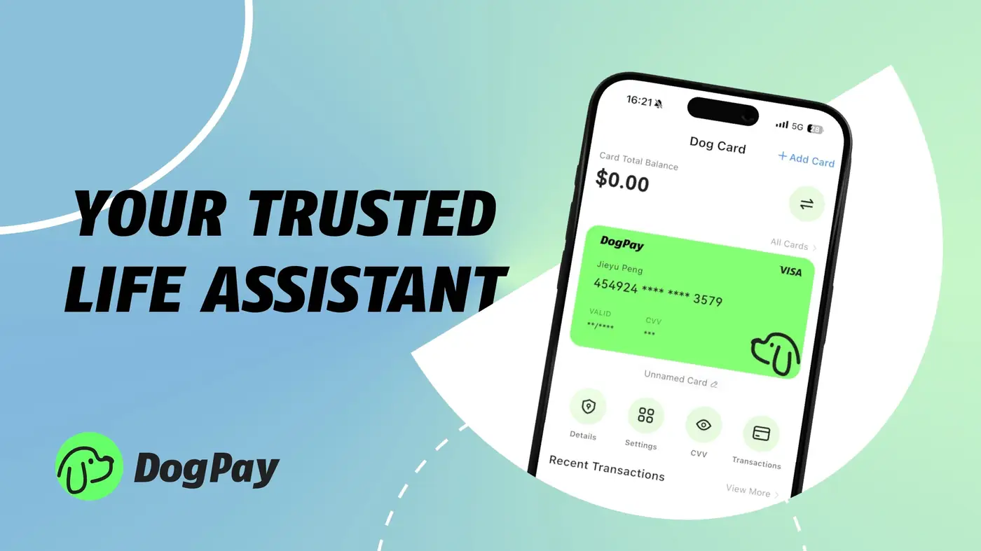 How Businesses Use DogPay Virtual Cards for Team Spend Control
