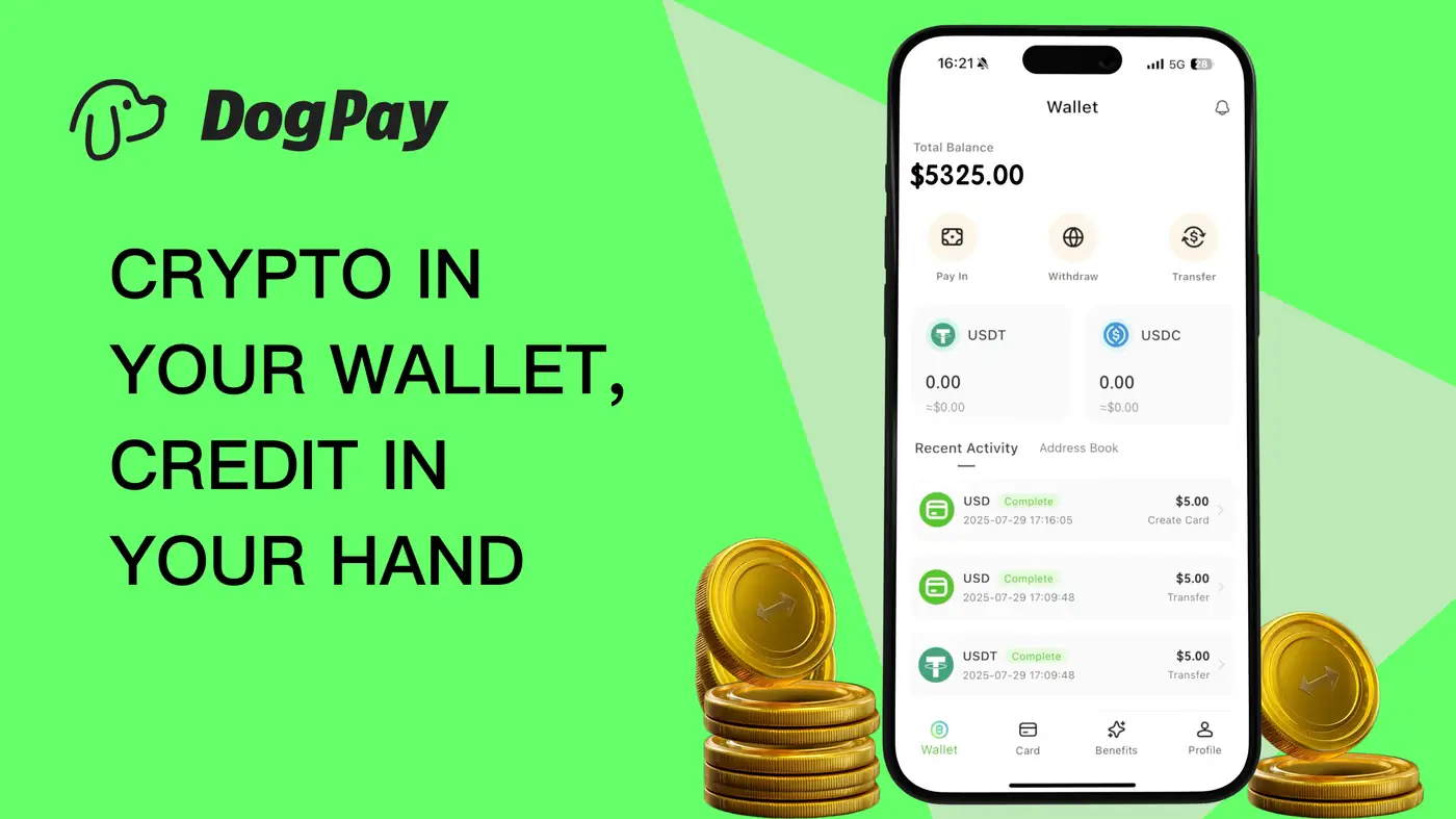 How Can DogPay Virtual Cards Give Your Business Ad Spend Control?