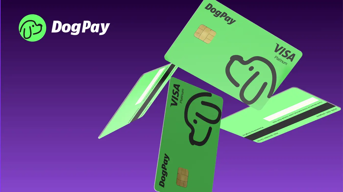 What Should a SaaS Platform Confirm Before Adding Payment APIs?
