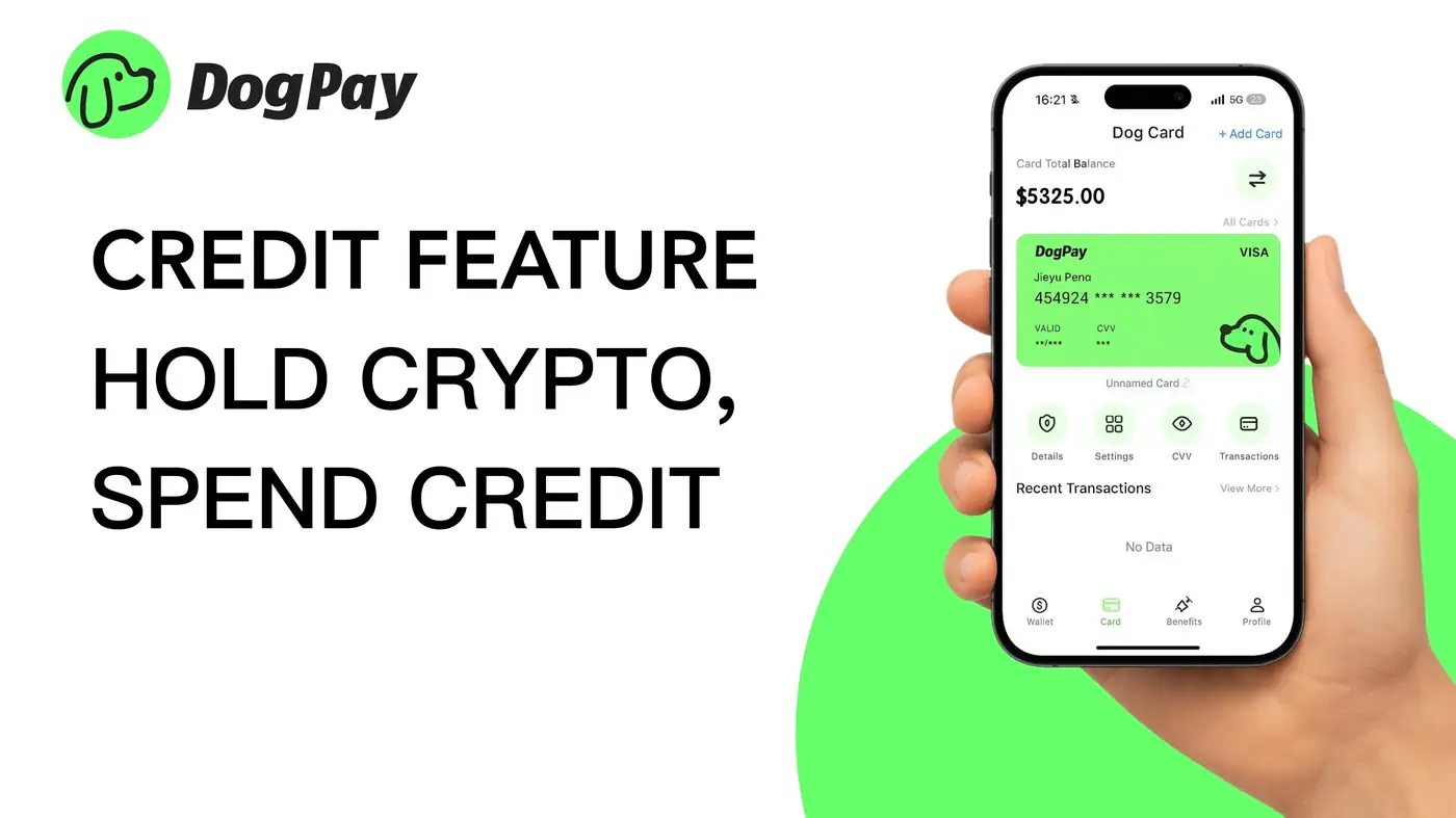 How Can Businesses Use DogPay to Control Team Spending?
