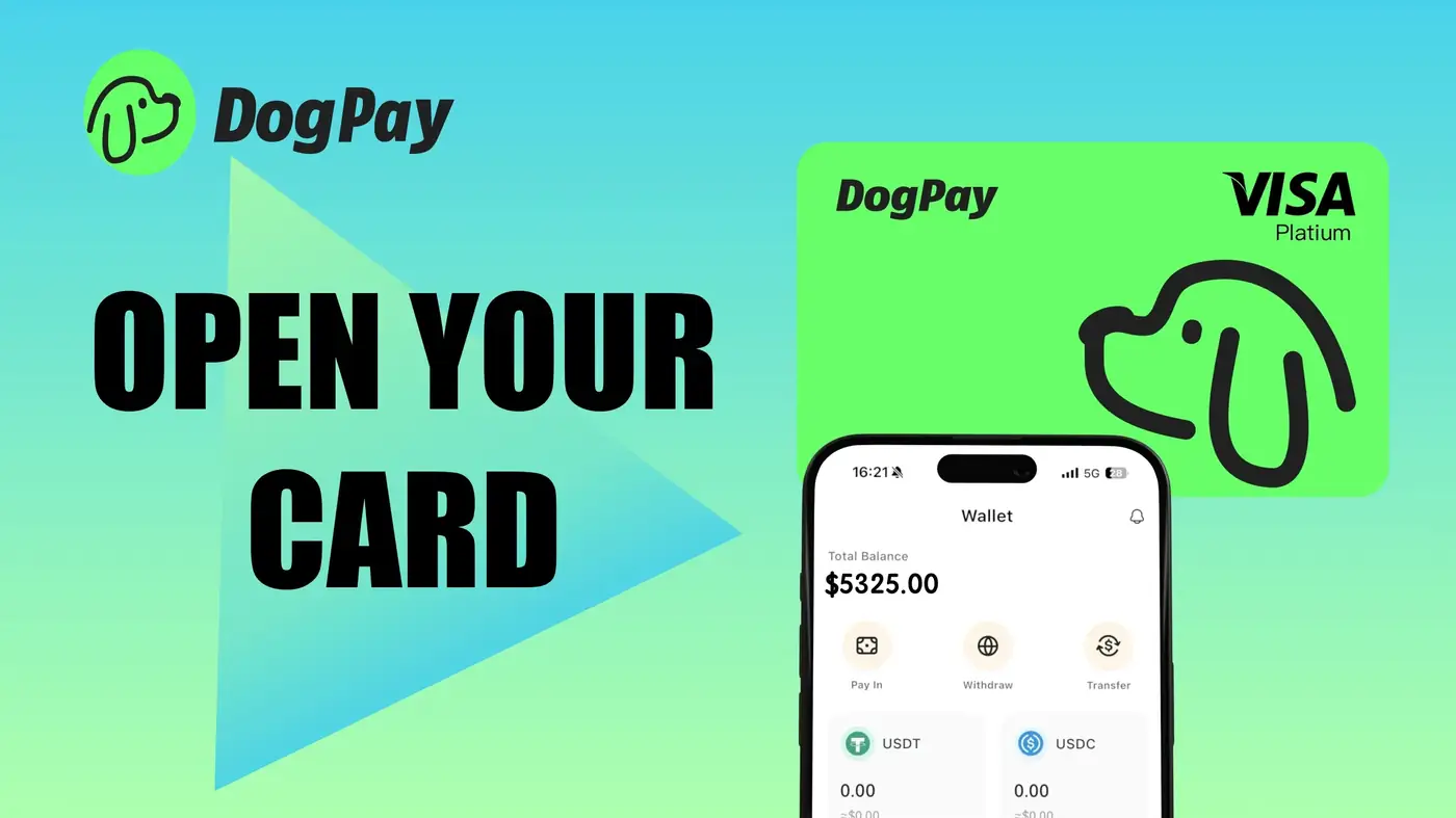 How Can DogPay Cards Provide Ad Spend Control for Marketing Teams?