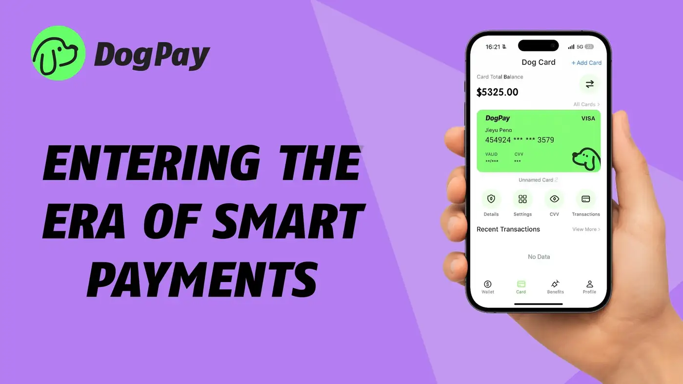 How Can a Finance Team Compare Local and International Payment Routes?