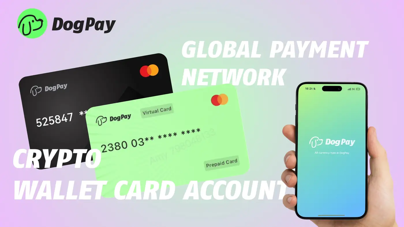 How Can Businesses Use DogPay for Corporate Card Spend in Daily Operations?